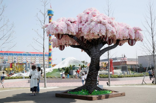   Legoland Nhật Bản giữ kỷ lục với cây hoa anh đào làm từ 800.000 mảnh lego  