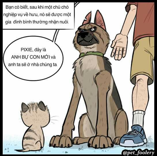 Tuyển tập truyện tranh fan art về tình bạn của Pixie và Brutus cảm động rơi nước mắt 0