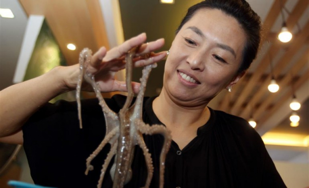 Ăn bạch tuộc sống, nữ streamer bị con vật bám chặt da mặt không buông 1
