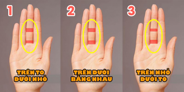   Hai vân tay ngón giữa của bạn thuộc kiểu nào?  