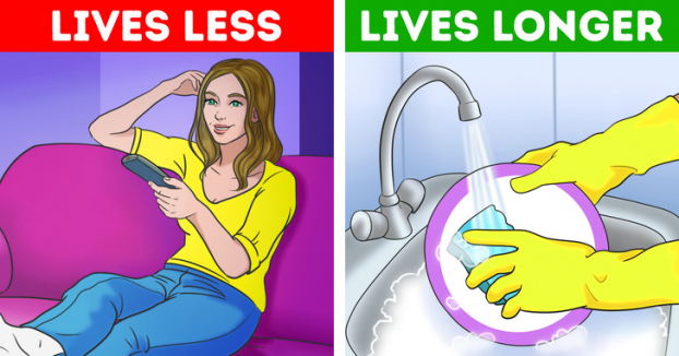 Nghiên cứu mới chứng minh: Rửa bát, quét nhà có thể giúp bạn sống thọ hơn 0