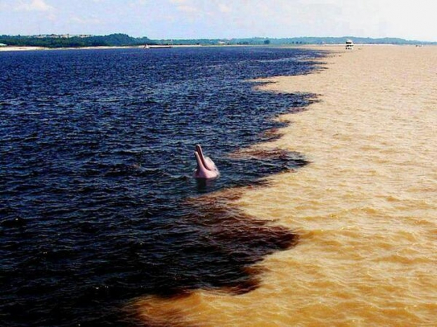   Nơi giao nhau giữa sông Amazon và sông Đen. Hai màu nước là do chất đất sông khác nhau.  