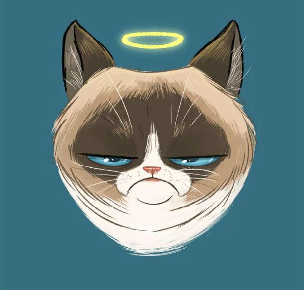 Cô mèo cau có Grumpy nổi tiếng thế giới với meme huyền thoại đã qua đời 8