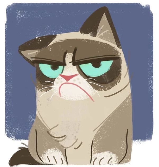 Cô mèo cau có Grumpy nổi tiếng thế giới với meme huyền thoại đã qua đời 10