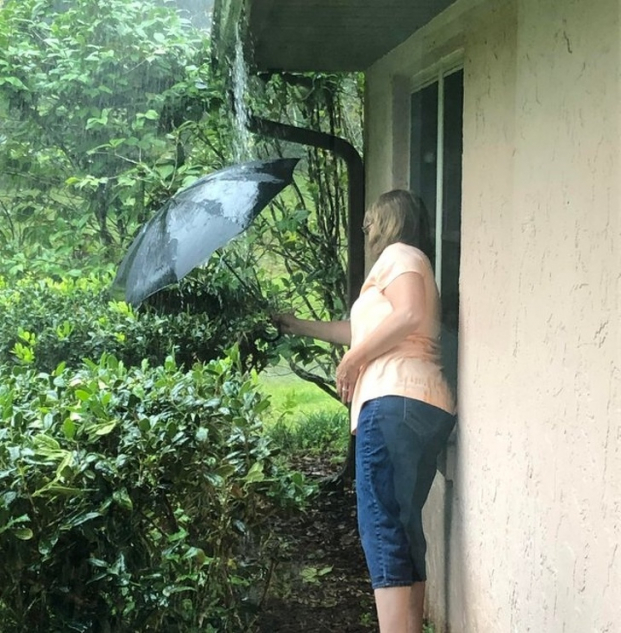   Mẹ tôi bảo vệ tổ chim non trong khi trời mưa  