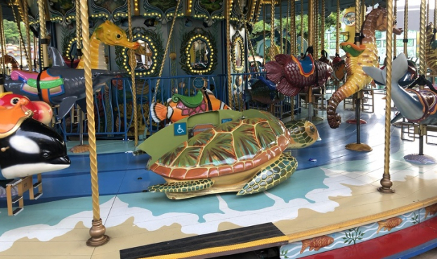   Vòng quay ngựa gỗ với một chú rùa biển dưới thấp để trẻ khuyết tật cũng không bỏ lỡ cuộc vui  