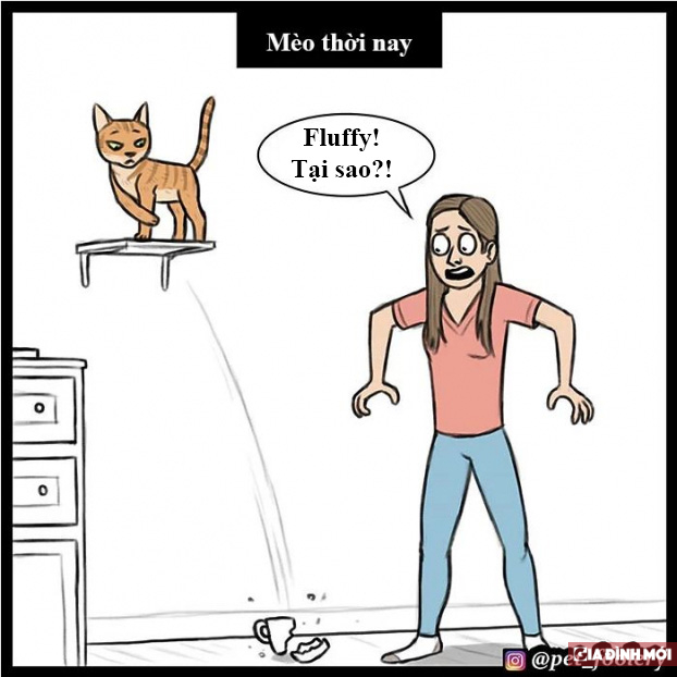 Bộ tranh hài hước minh họa sự khác biệt giữa mèo thời tiền sử và mèo hiện đại 2