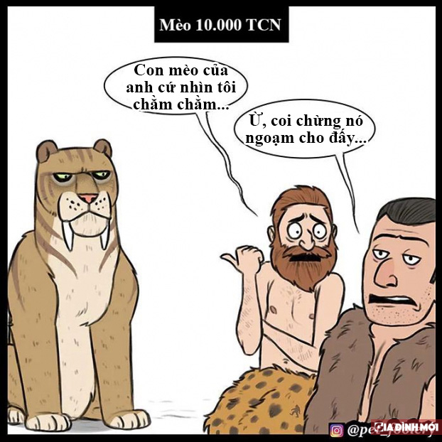 Bộ tranh hài hước minh họa sự khác biệt giữa mèo thời tiền sử và mèo hiện đại 5