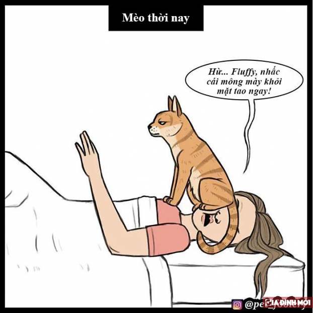 Bộ tranh hài hước minh họa sự khác biệt giữa mèo thời tiền sử và mèo hiện đại 6