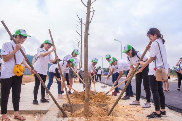 Vì một ‘Việt Nam xanh' Panasonic lên Thái Nguyên trồng hơn 10.000 cây xanh 1