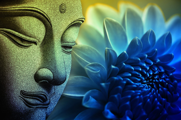 Nam Mô A Di Đà Phật có nghĩa là gì? 1