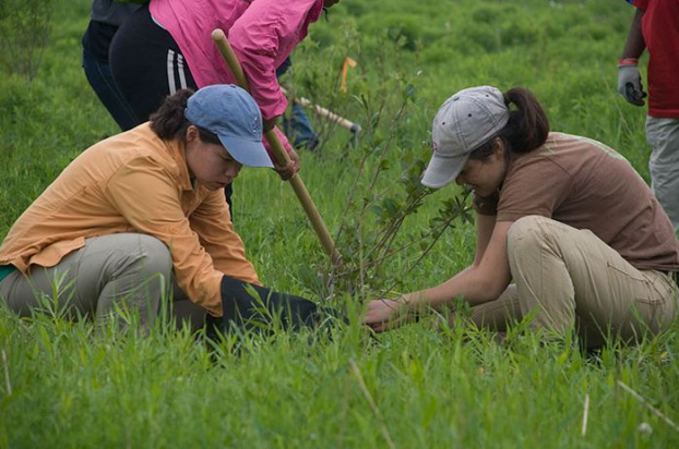 Luật mới ở Philippines: Học sinh, sinh viên phải trồng 10 cây xanh mới được tốt nghiệp 0