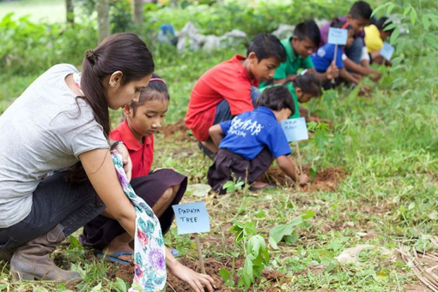 Luật mới ở Philippines: Học sinh, sinh viên phải trồng 10 cây xanh mới được tốt nghiệp 4