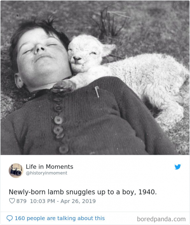   Chú cừu mới sinh bên cạnh cậu bé, 1940  