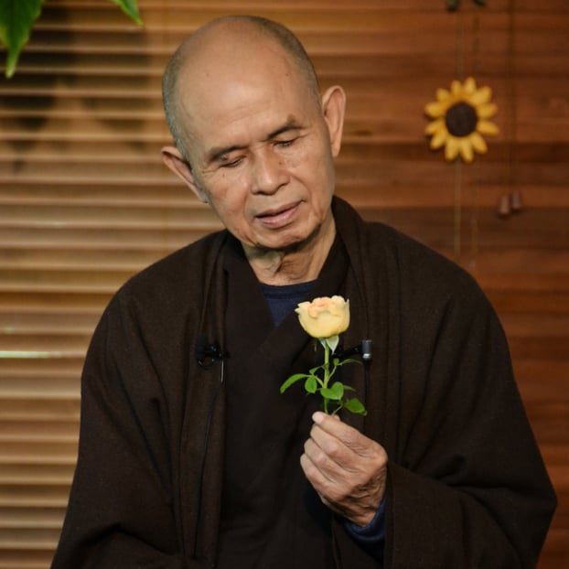 Thiền sư Thích Nhất Hạnh với bài phỏng vấn chấn động về cách thiền và sống hạnh phúc 3