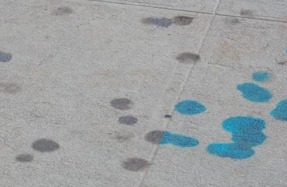 Độc đáo tranh vẽ đường phố chỉ xuất hiện mỗi khi trời mưa 0