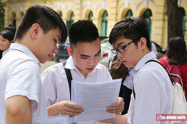   Nam Định: Công bố điểm chuẩn vào lớp 10 Công lập năm 2019  