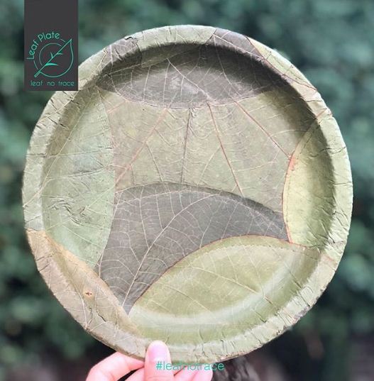   Chiếc đĩa làm bằng lá cây thay thế đĩa giấy dùng 1 lần  