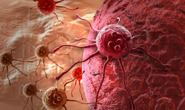   Bệnh ung thư liên quan đến việc phân chia tế bào của cơ thể. Ảnh minh họa  