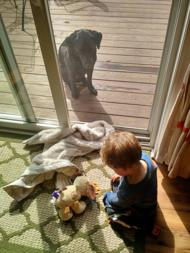   'Con trai tôi cho chú chó bông ăn bánh cá, trong khi chú chó thật của nó đang ngồi ngoài, tội ơi là tội'  