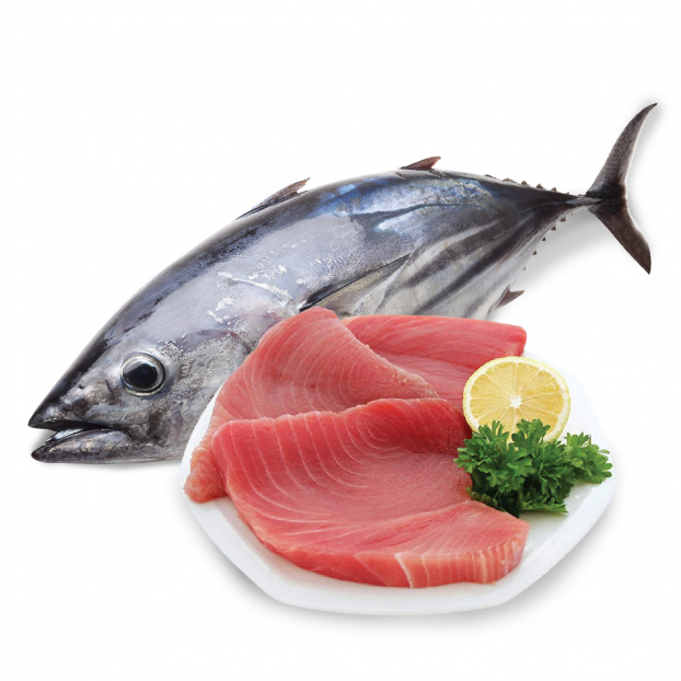   Cá ngừ là món cá có thể sử dụng cho bé ăn dặm  