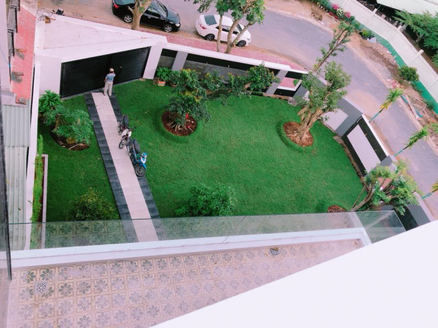   Không gian sân vườn với cỏ xanh và nhiều cây lớn trong biệt thự của Quốc Trường  