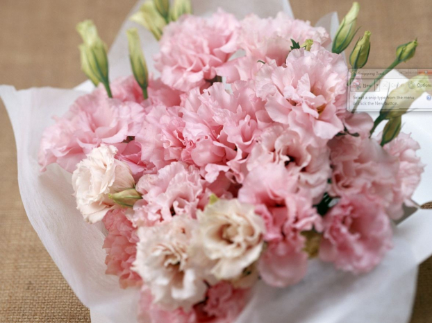 10 loại hoa tặng mẹ lễ Vu Lan báo hiếu ý nghĩa chân thành nhất 4