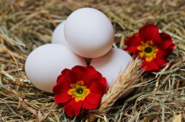 Thực phẩm lành mạnh hàng đầu cho người mắc bệnh thận 5