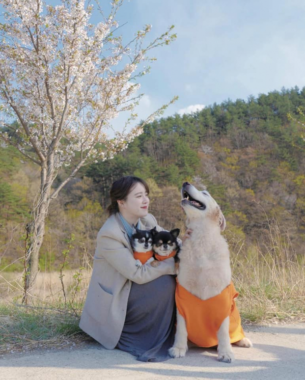   Goo Hye Sun vốn nổi tiếng là một người rất yêu thương động vật. Trong nhà cô có nuôi rất nhiều thú cưng.  