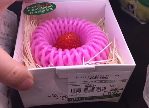   Một siêu thị ở Hong Kong bán dâu tây được bọc và đóng hộp riêng từng quả  