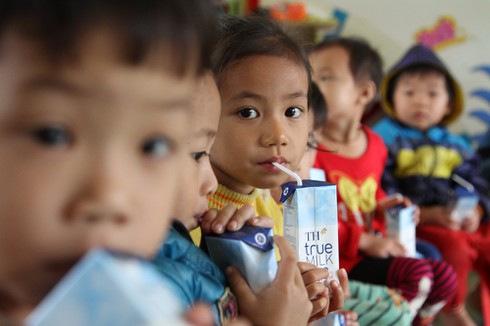   Trẻ em tại bản Thung Khạng, bản xa xôi nhất của huyện Quỳ Châu (Nghệ An) uống sữa TH SCHOOL MILK theo Chương trình Sữa học đường. TH SCHOOL MILK là sản phẩm đầu tiên được Bộ Y tế xác nhận hiệu quả trong nghiên cứu cải thiện tình trạng dinh dưỡng và vi chất dinh dưỡng của trẻ em.  
