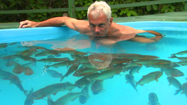   Tiến sĩ Axelrod trong bể bơi và đàn cá hổ  