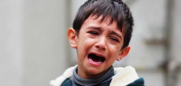 Vì sao trẻ con khóc? Các nghiên cứu đã chỉ dẫn điều gì cho cha mẹ? 2