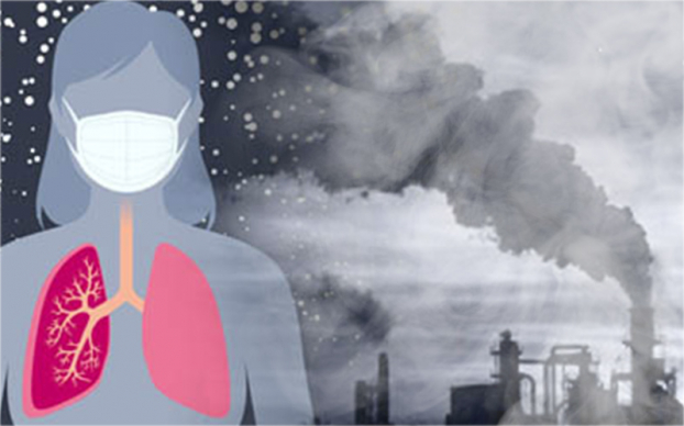   Ô nhiễm không khí được coi là kẻ giết người thầm lặng, gây ra các bệnh tim mạch, đột quỵ, ung thư phổi...  