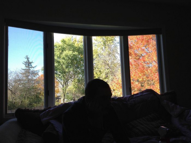   Khung cảnh qua chiếc cửa sổ như được chia thành 4 mùa  