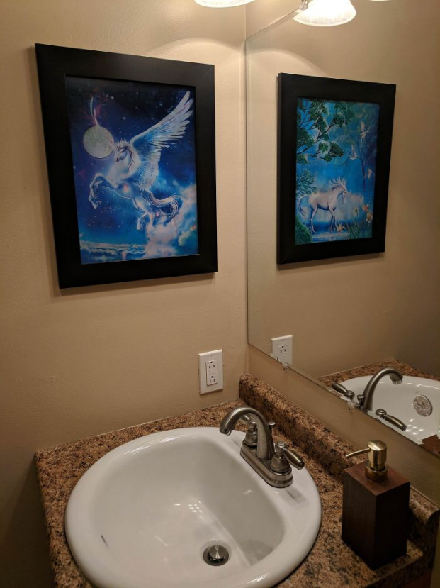   Bức tranh kỳ lân và bóng của nó trong gương là hai hình khác nhau  