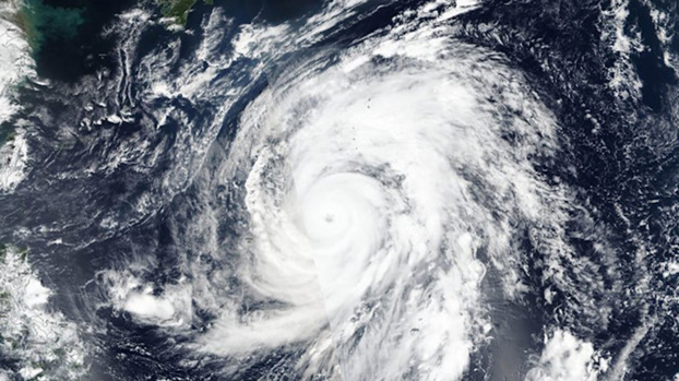   Siêu bão Hagibis: Đổ bộ Nhật Bản trong hôm nay  