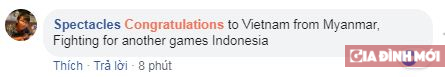 Khán giả thế giới nói gì khi ĐT Việt Nam thắng dễ dàng Indonesia? 6