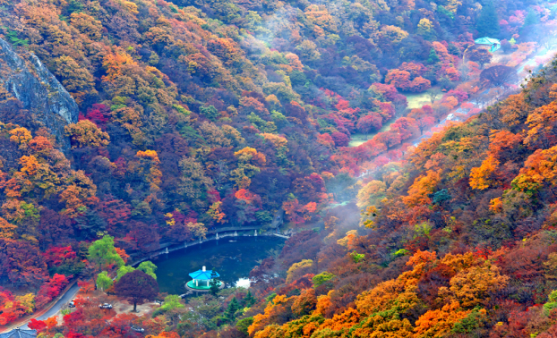 6 địa điểm ngắm lá vàng, lá đỏ đẹp nhất Hàn Quốc mùa thu này, đi ngay đừng bỏ lỡ 5