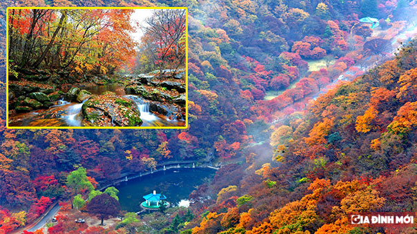   6 địa điểm ngắm lá vàng, lá đỏ đẹp nhất Hàn Quốc mùa thu này, đi ngay đừng bỏ lỡ  