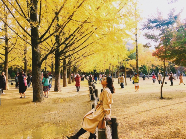   6 điều cần nhớ du lịch Hàn Quốc mùa thu ai cũng nên biết  