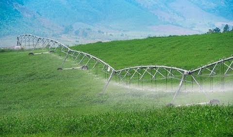   Những cánh tay tưới công nghệ 4.0, tự động tưới nước cho những cánh đồng cỏ mênh mông làm thức ăn cho bò sữa của TH tại Nghĩa Đàn, Nghệ An.  