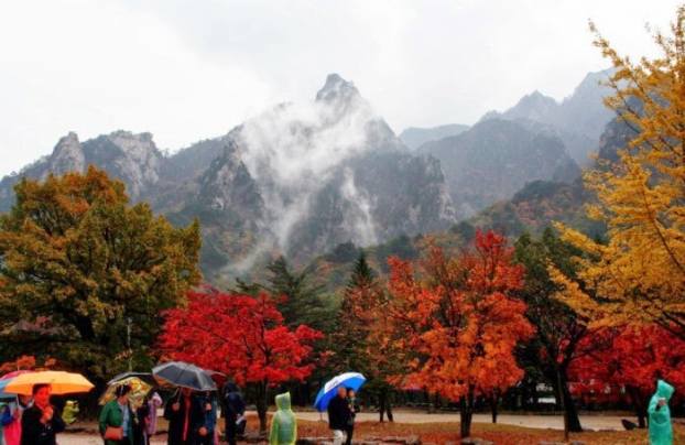 3 địa điểm nhất định phải ghé khi đi du lịch Hàn Quốc mùa thu này 4