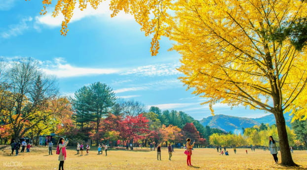 3 địa điểm nhất định phải ghé khi đi du lịch Hàn Quốc mùa thu này 1
