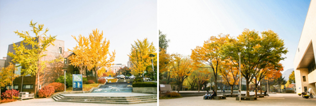 4 điểm ngắm lá vàng tuyệt đẹp ngay giữa Seoul hoa lệ 8