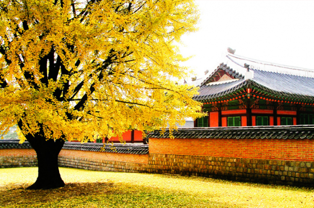 4 điểm ngắm lá vàng tuyệt đẹp ngay giữa Seoul hoa lệ 3