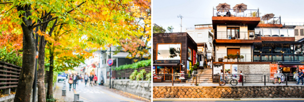 4 điểm ngắm lá vàng tuyệt đẹp ngay giữa Seoul hoa lệ 4