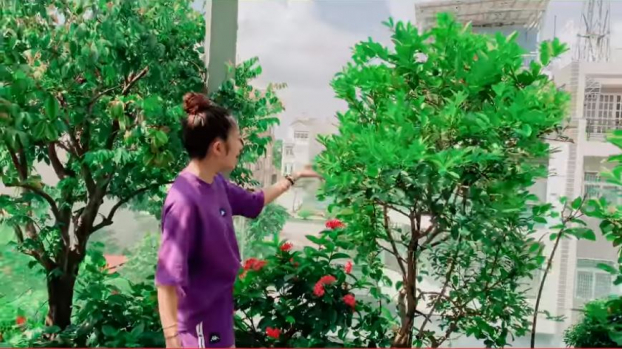   Vườn cây sum suê xanh mướt mắt của nhà Lý Hải - Minh Hà  