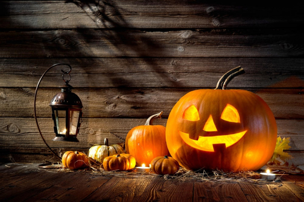   Những điều kiêng kị ngày Halloween: Không gõ vào bí ngô của người khác  