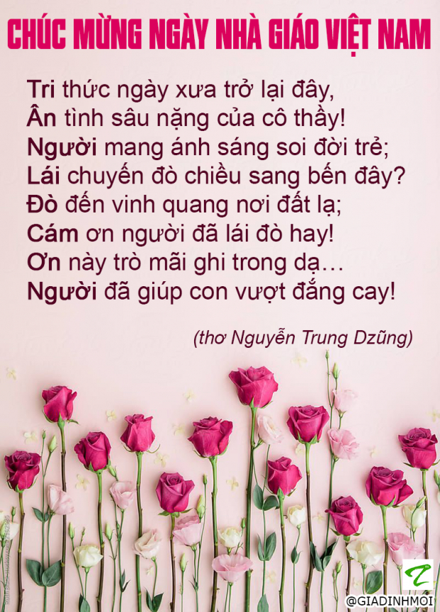 10 lời chúc ngày 20/11 tặng thầy cô giáo bằng tiếng Anh và tiếng Việt 1